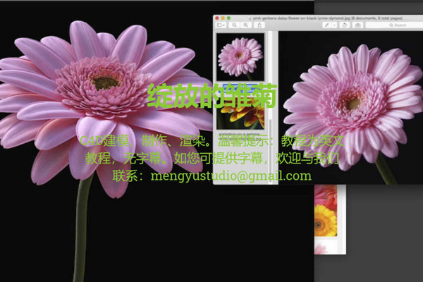 【C4D教程】写实风格花朵的制作与渲染