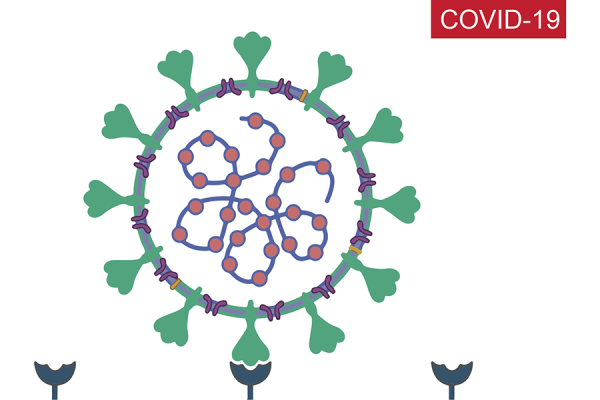 COVID-19 病毒ai格式矢量素材