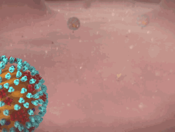 【C4D高阶教程】病毒入侵细胞、抗体等动画制作